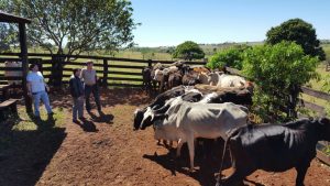 WhatsApp Image 2016-08-22 at 23.42.09 (1)