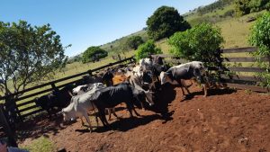 WhatsApp Image 2016-08-22 at 23.42.10 (1)