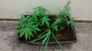 addc5e55-f954-4ac8-ad72-1cdc96191f66