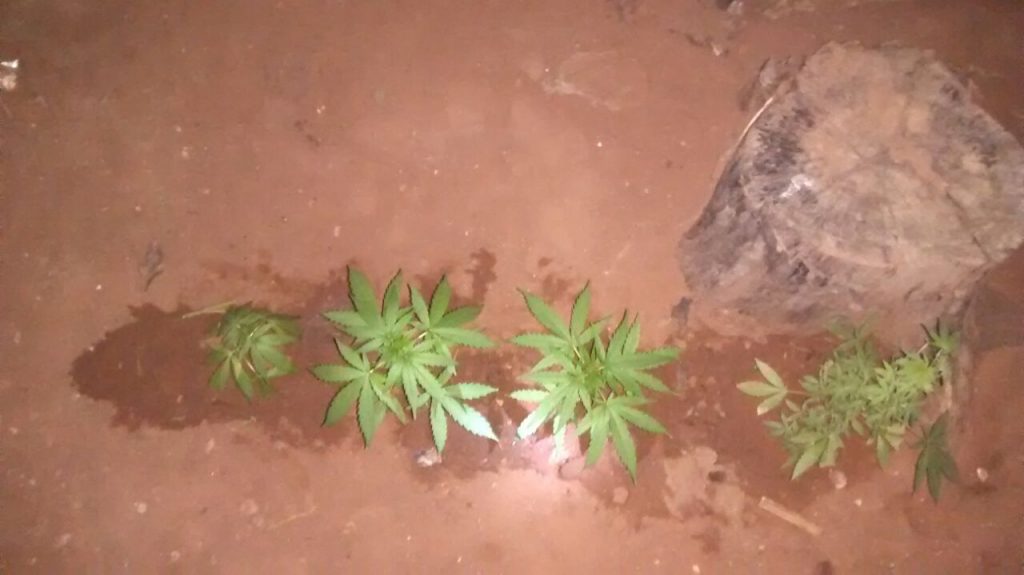 f5518721-862c-44aa-b669-559df7c10e7f