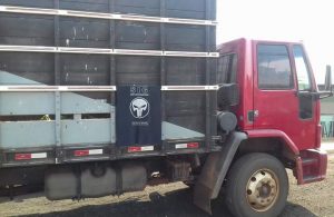 fe871d7d-bf9d-4f61-a074-0a28e5739050