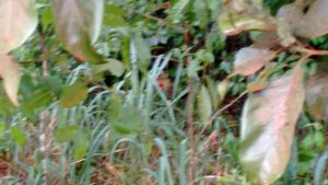 whatsapp-image-2016-12-14-at-21-27-32