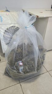 Foto: Reprodução/Polícia Civil - MS