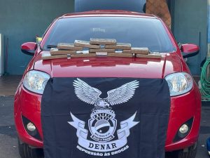 Foto: Reprodução/Polícia Civil - MS