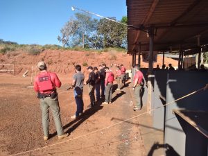 Foto: Reprodução/Polícia Civil - MS