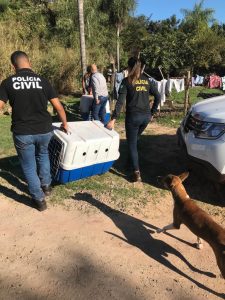Foto: Reprodução/Polícia Civil - MS