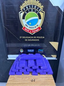 Foto: Reprodução/Polícia Civil - MS