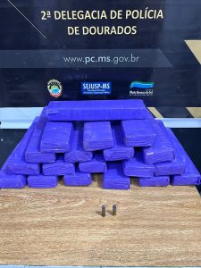 Foto: Reprodução/Polícia Civil - MS