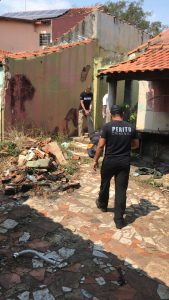 Foto: Reprodução/Polícia Civil - MS