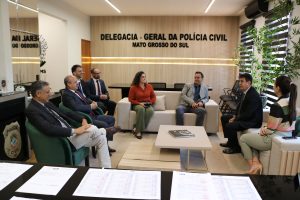 Foto: Reprodução/Polícia Civil - MS