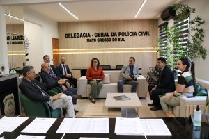 Foto: Reprodução/Polícia Civil - MS