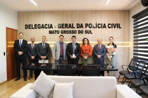 Foto: Reprodução/Polícia Civil - MS