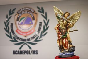 Foto: Reprodução/Polícia Civil - MS