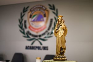 Foto: Reprodução/Polícia Civil - MS