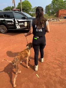 Foto: Reprodução/Polícia Civil - MS