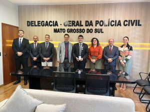 Foto: Reprodução/Polícia Civil - MS