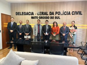 Foto: Reprodução/Polícia Civil - MS