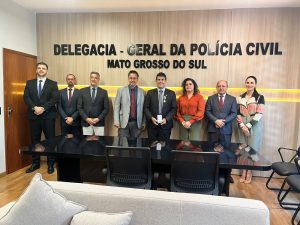 Foto: Reprodução/Polícia Civil - MS