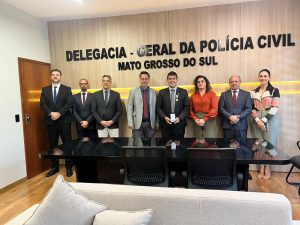 Foto: Reprodução/Polícia Civil - MS