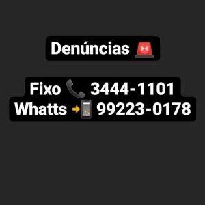 Foto: Reprodução/Polícia Civil - MS