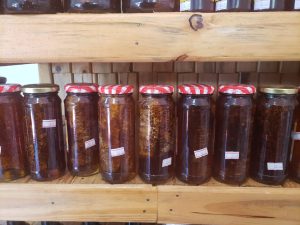 Foto: Reprodução/Polícia Civil - MS