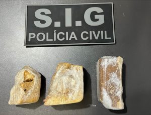 Foto: Reprodução/Polícia Civil - MS