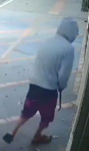 Foto: Reprodução/Polícia Civil - MS