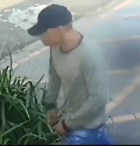 Foto: Reprodução/Polícia Civil - MS