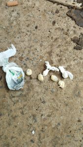 Foto: Reprodução/Polícia Civil - MS