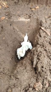 Foto: Reprodução/Polícia Civil - MS