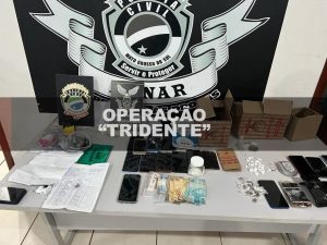 Foto: Reprodução/Polícia Civil - MS