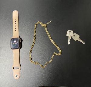 Foto: Reprodução/Polícia Civil - MS