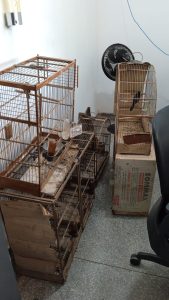 Foto: Reprodução/Polícia Civil - MS