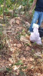 Foto: Reprodução/Polícia Civil - MS