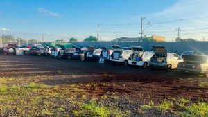 Foto: Reprodução/Polícia Civil - MS