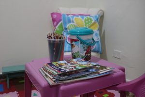 Foto: Reprodução/Polícia Civil - MS