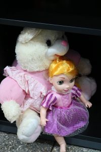 Foto: Reprodução/Polícia Civil - MS