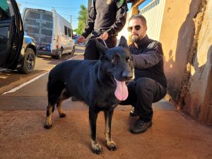 Foto: Reprodução/Polícia Civil - MS