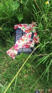 Foto: Reprodução/Polícia Civil - MS