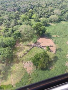 Foto: Reprodução/Polícia Civil - MS