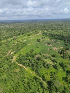 Foto: Reprodução/Polícia Civil - MS