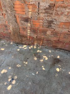 Foto: Reprodução/Polícia Civil - MS