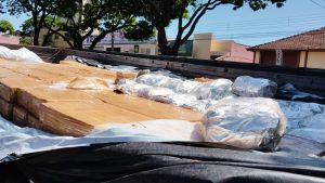 Foto: Reprodução/Polícia Civil - MS