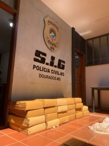 Foto: Reprodução/Polícia Civil - MS