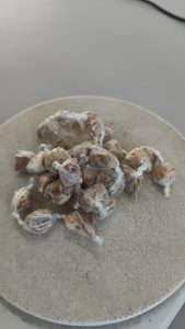 Foto: Reprodução/Polícia Civil - MS