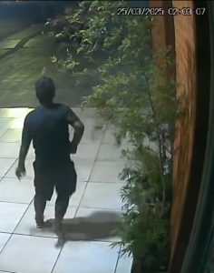 Foto: Reprodução/Polícia Civil - MS