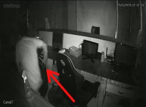 Foto: Reprodução/Polícia Civil - MS