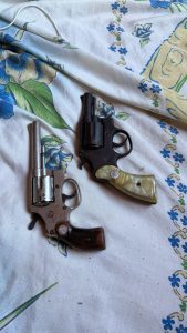 Foto: Reprodução/Polícia Civil - MS