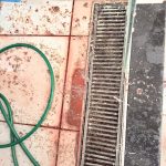 Foto: Reprodução/Polícia Civil - MS
