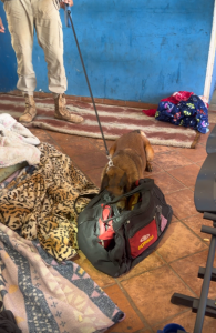 Foto: Reprodução/Polícia Civil - MS